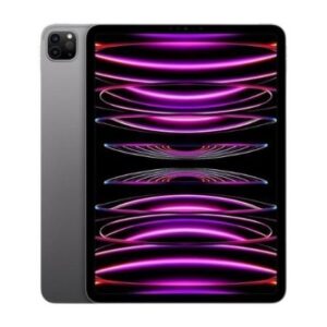 Gereviseerde iPad Pro 4 11" (2022)